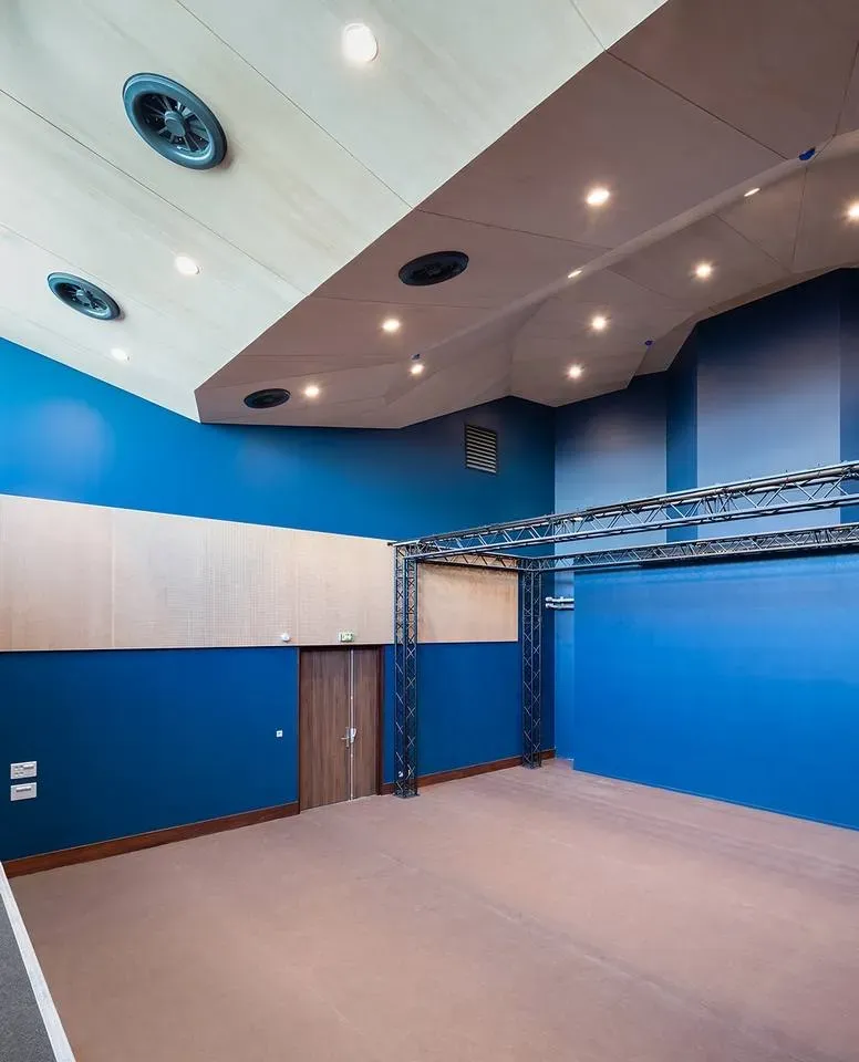 plafond acoustique (11)