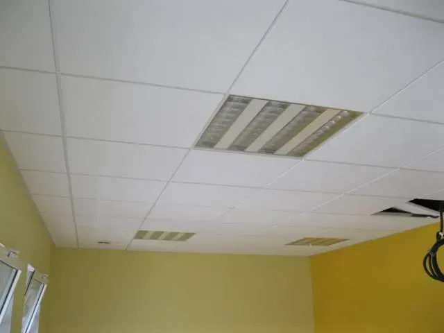 plafond suspendu (4)
