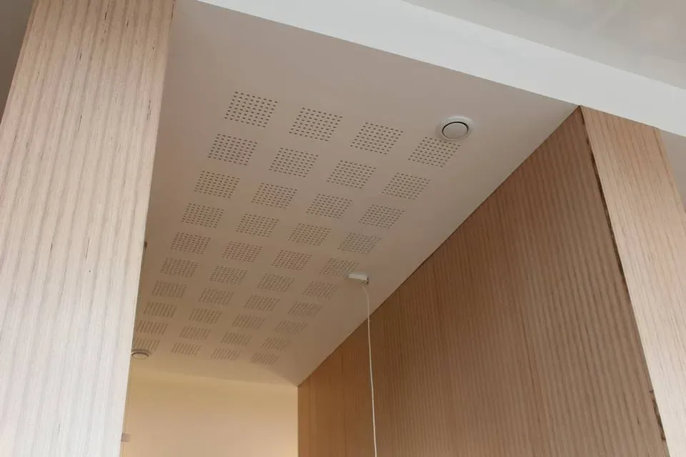 plafond bois (1)